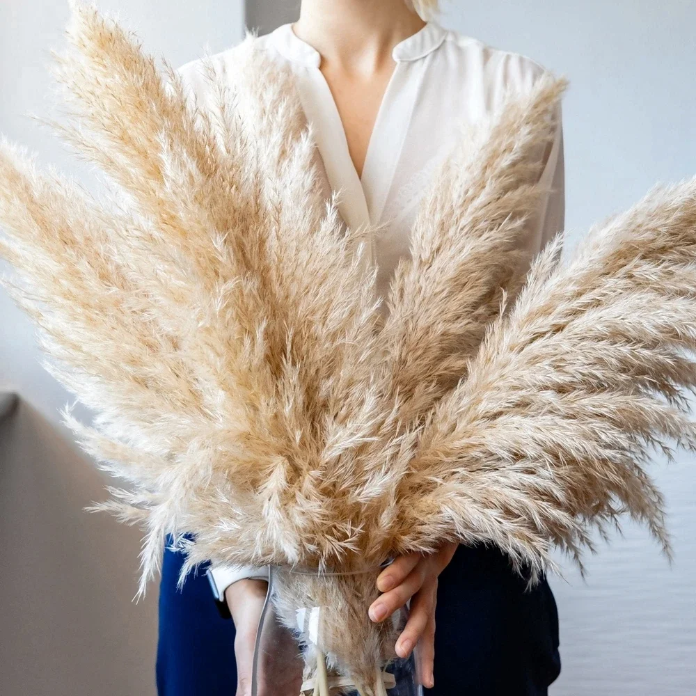 Pampas Grass Decor - 120 ซม.-130 ซม.ปุยขนาดใหญ่ Pampas Grass,แห้งธรรมชาติช่อดอกไม้,Boho งานแต่งงานตกแต่ง,Shop