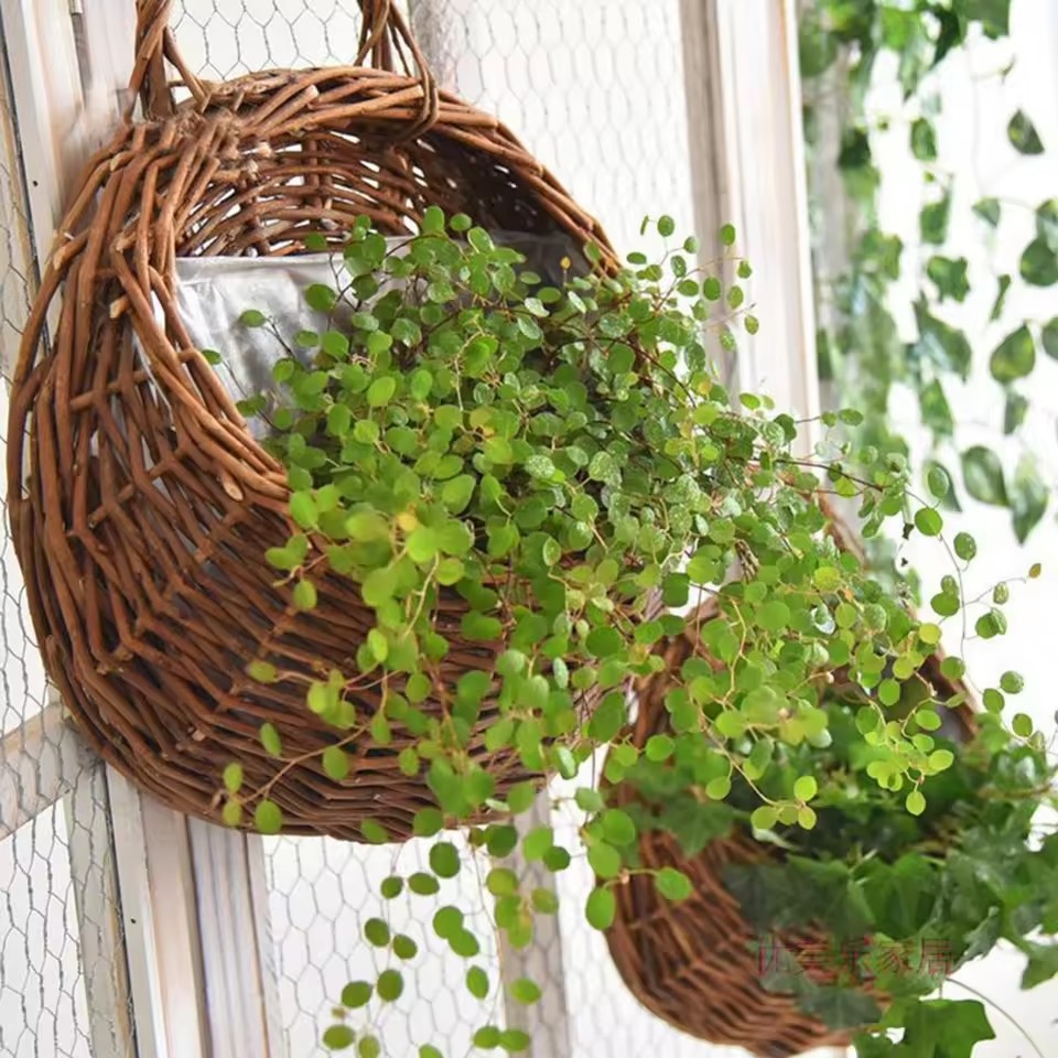 Hand Made หวายหวายดอกไม้แขวนผน - Rattan Plant Basket บทวิจารณ์และราคา