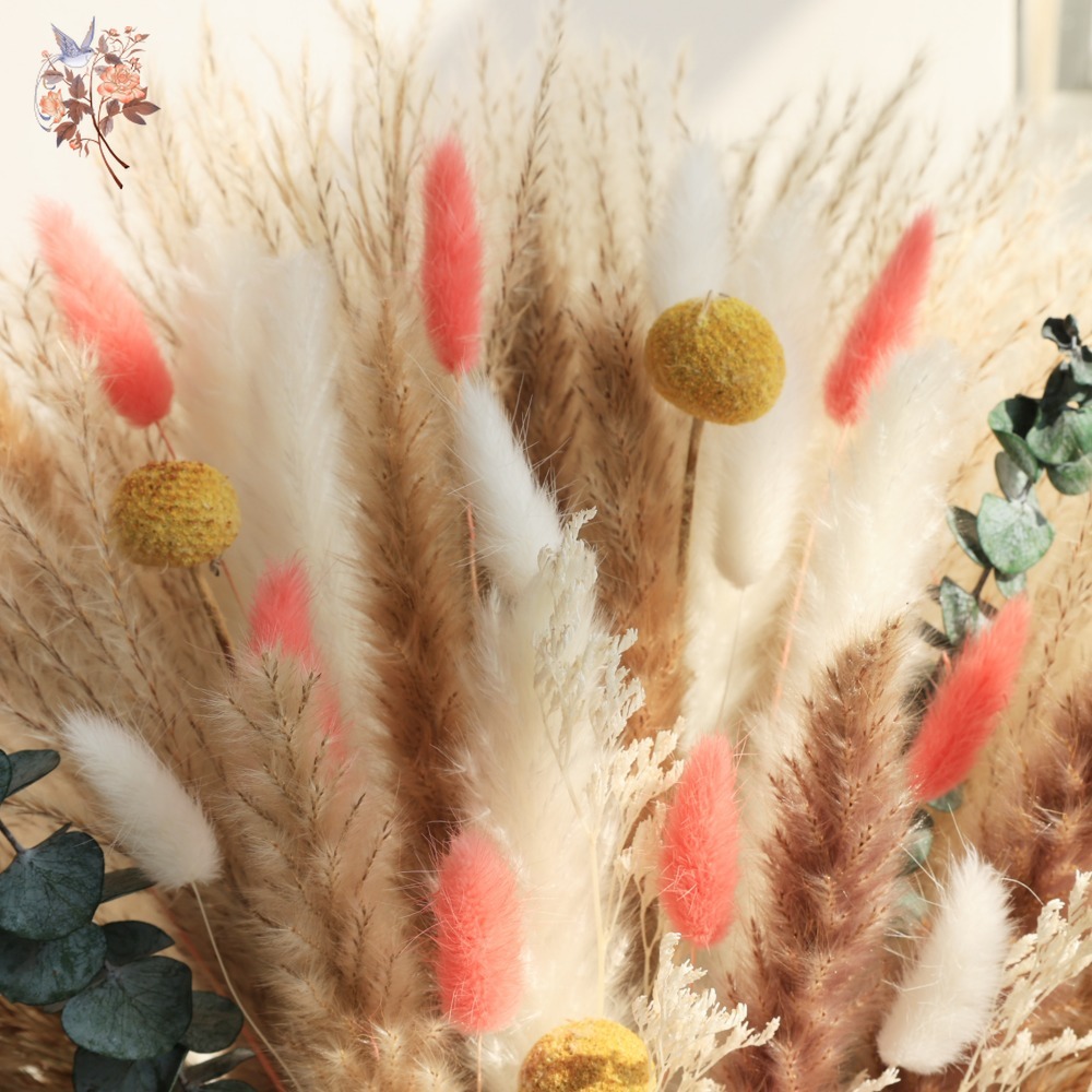 ช่อดอกไม้แห้งสีชมพูอมตะ หญ้าแพ - Pampas Grass Decor บทวิจารณ์และราคา