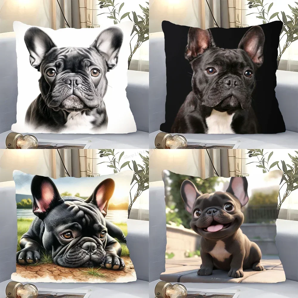 ปลอกหมอนอิงรูปเฟรนช์บูลด็อกน่า - Home Decor Theme บทวิจารณ์และราคา