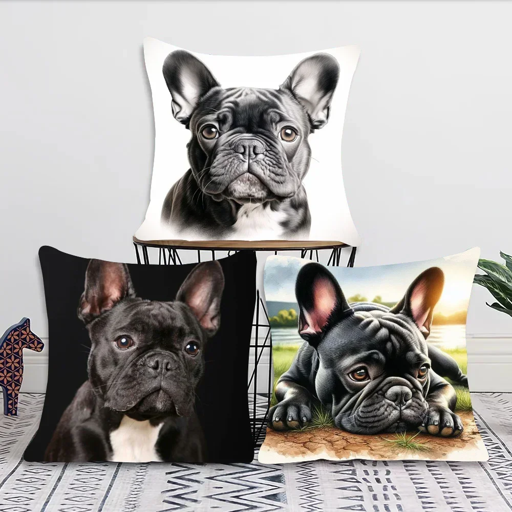 ปลอกหมอนอิงรูปเฟรนช์บูลด็อกน่า - Home Decor Theme บทวิจารณ์และราคา