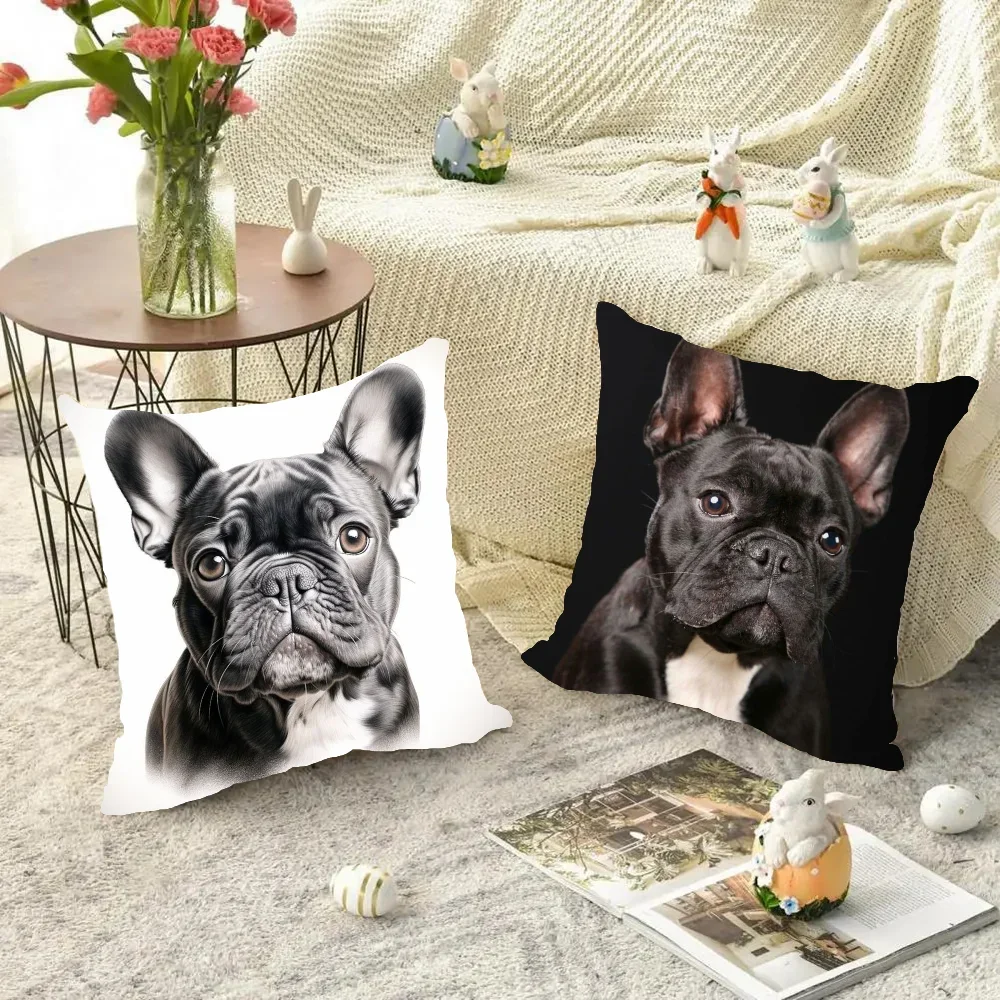 ปลอกหมอนอิงรูปเฟรนช์บูลด็อกน่า - Home Decor Theme บทวิจารณ์และราคา