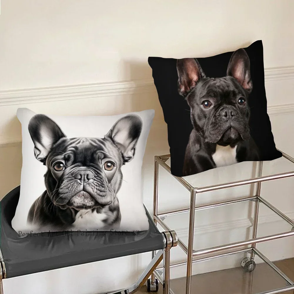 ปลอกหมอนอิงรูปเฟรนช์บูลด็อกน่า - Home Decor Theme บทวิจารณ์และราคา