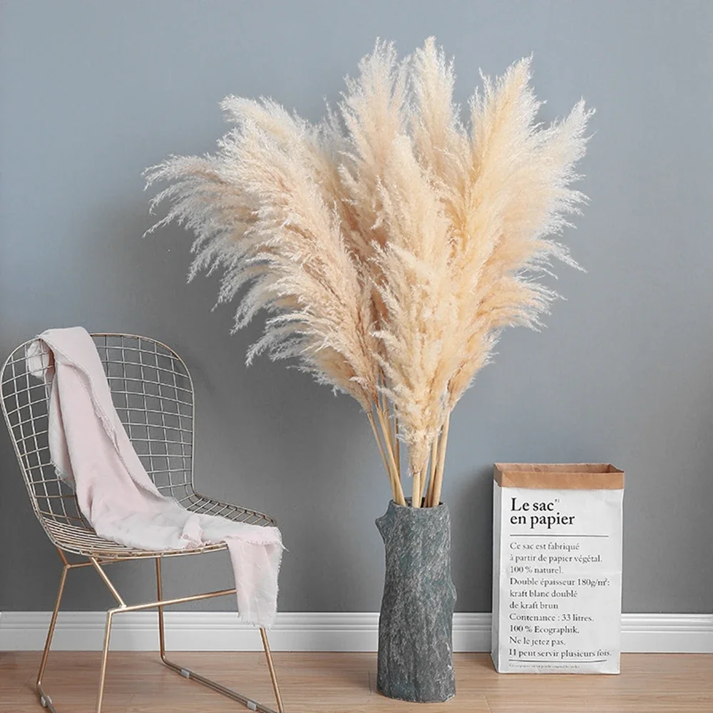 120 ซม.-130 ซม.ปุยขนาดใหญ่ Pam - Pampas Grass Decor บทวิจารณ์และราคา