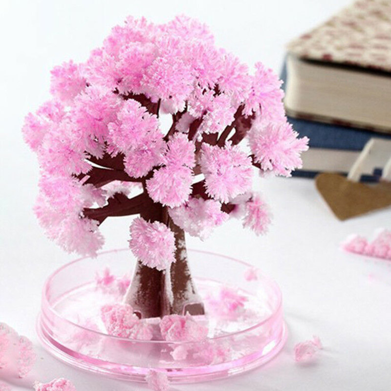 DIY ปลูกต้นไม้กระดาษซากุระคริส - Pampas Grass Decor บทวิจารณ์และราคา