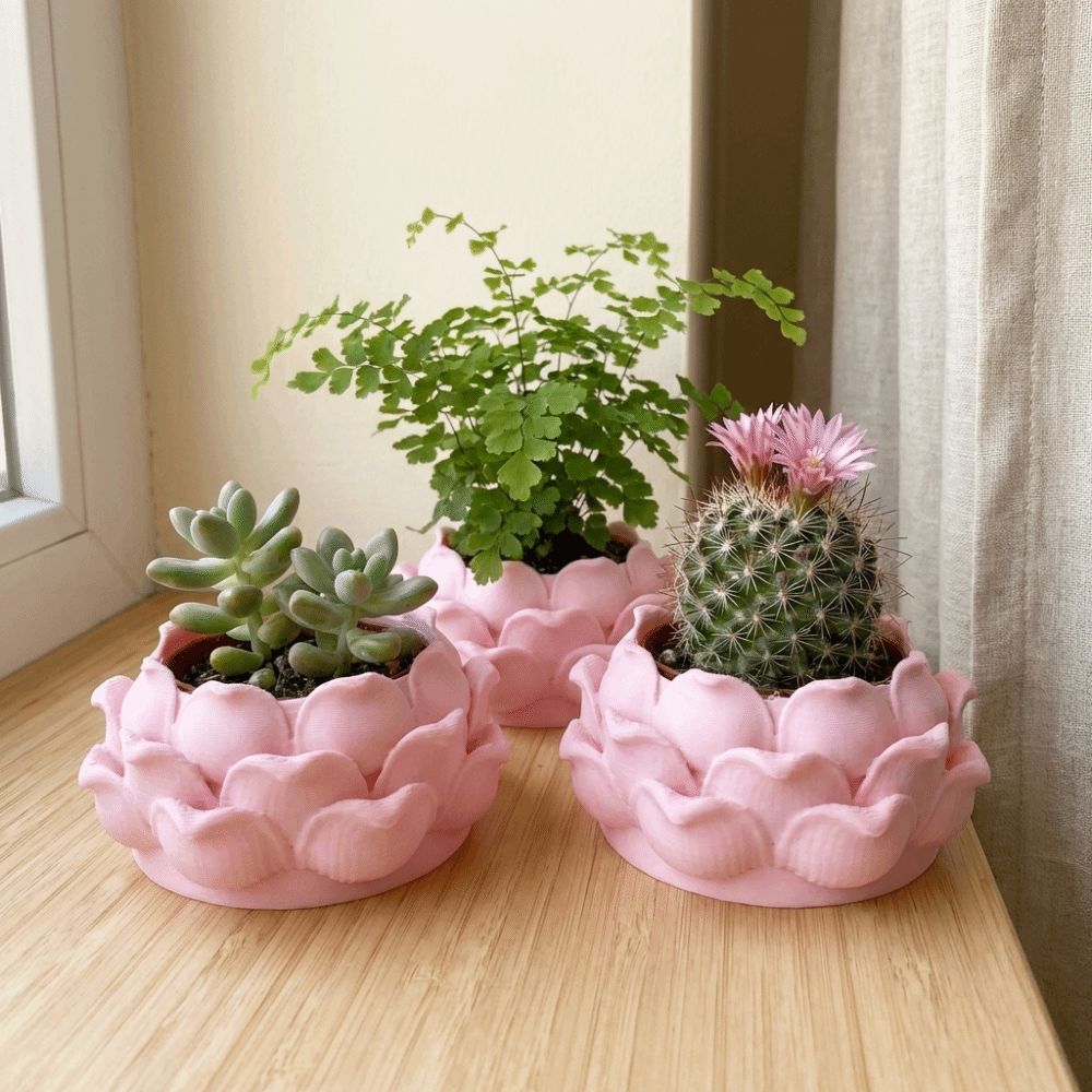 กระถางต้นไม้รูปดอกบัว พลาสติกพ - Rattan Plant Basket บทวิจารณ์และราคา