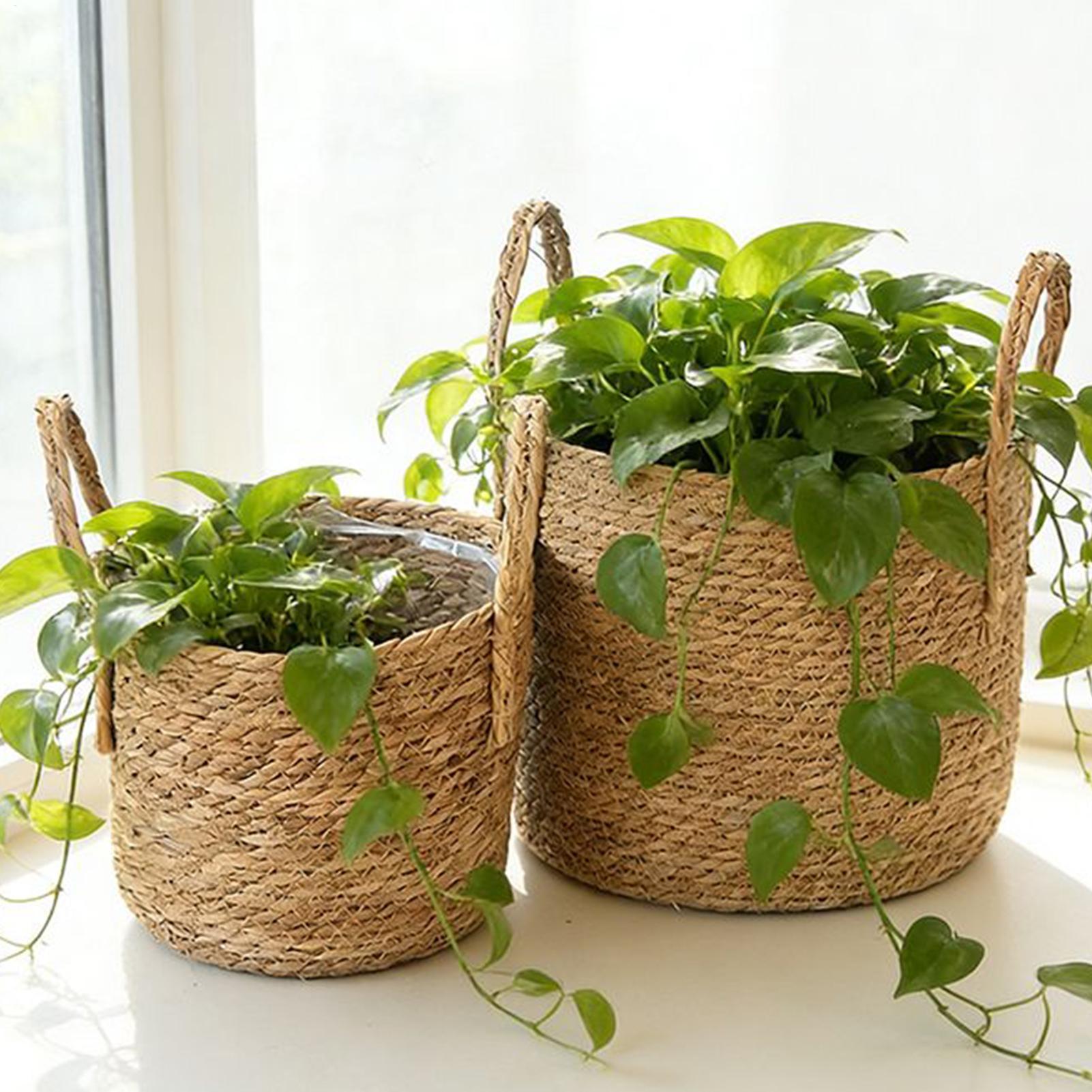 กระเช้าปลูกต้นไม้ กระถางดอกไม้ - Rattan Plant Basket บทวิจารณ์และราคา